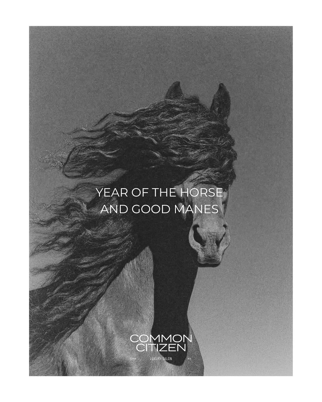 Black-and-white editorial of a horse with flowing mane — Common Citizen 'Year of the Horse and Good Manes' poster.
